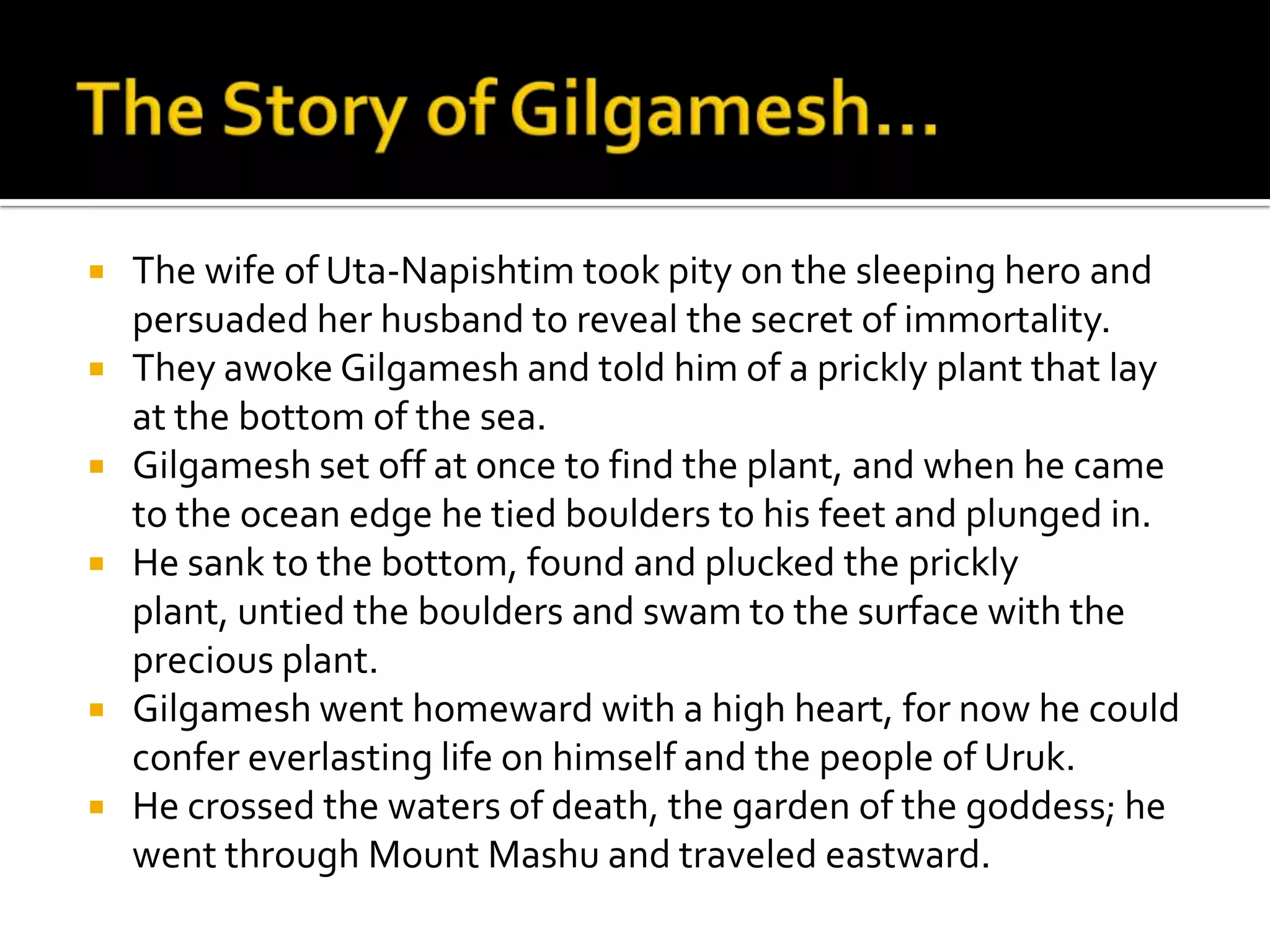  The wife of Uta-Napishtim took pity on the sleeping hero and
persuaded her husband to reveal the secret of immortality.
 They awoke Gilgamesh and told him of a prickly plant that lay
at the bottom of the sea.
 Gilgamesh set off at once to find the plant, and when he came
to the ocean edge he tied boulders to his feet and plunged in.
 He sank to the bottom, found and plucked the prickly
plant, untied the boulders and swam to the surface with the
precious plant.
 Gilgamesh went homeward with a high heart, for now he could
confer everlasting life on himself and the people of Uruk.
 He crossed the waters of death, the garden of the goddess; he
went through Mount Mashu and traveled eastward.
 