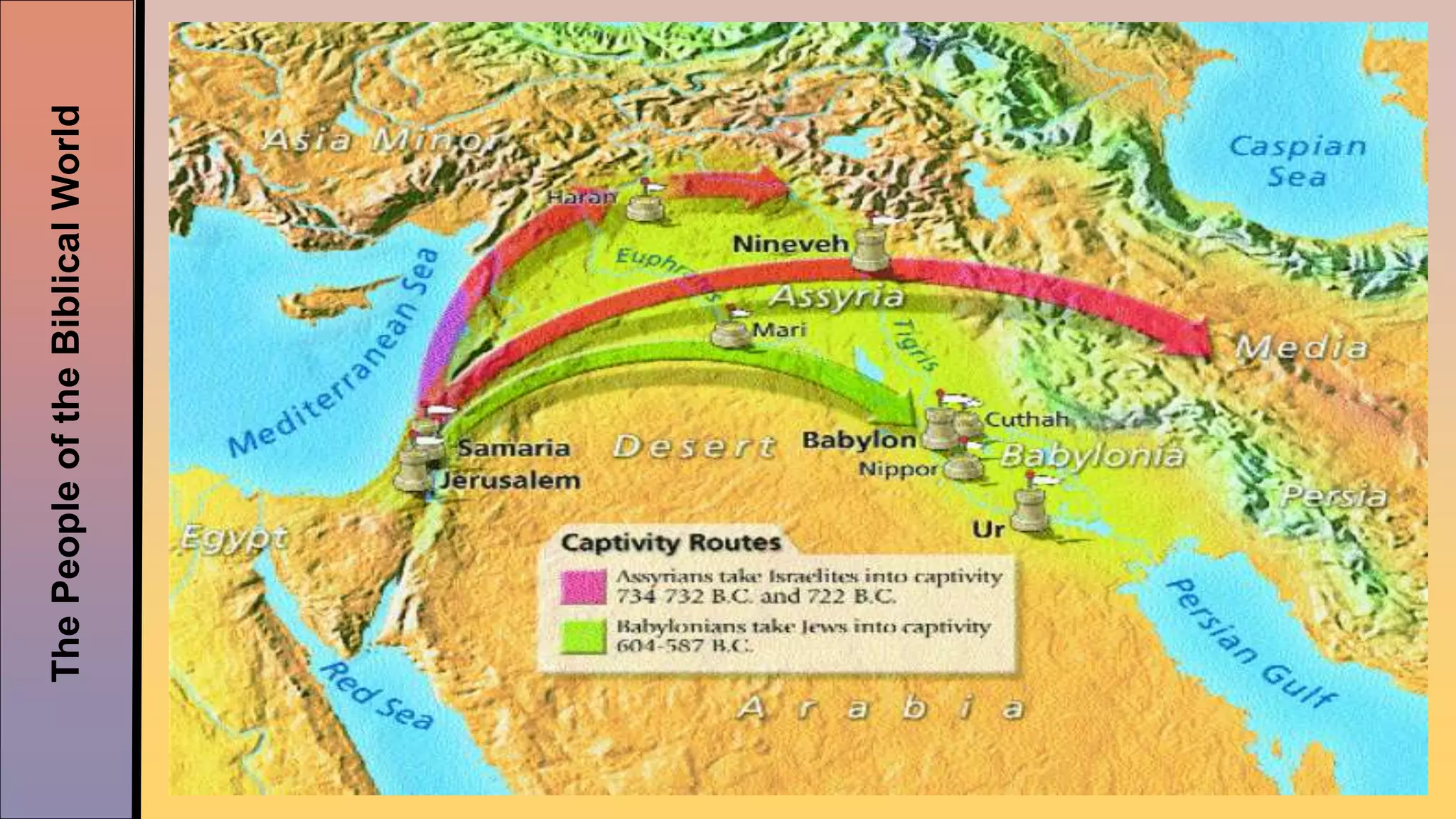 ThePeopleoftheBiblicalWorld
 