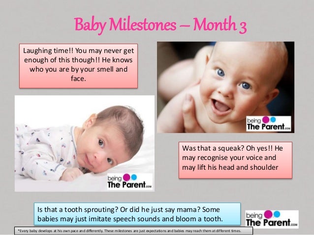 baby developmental milestones 1 to 6 months three month milestones