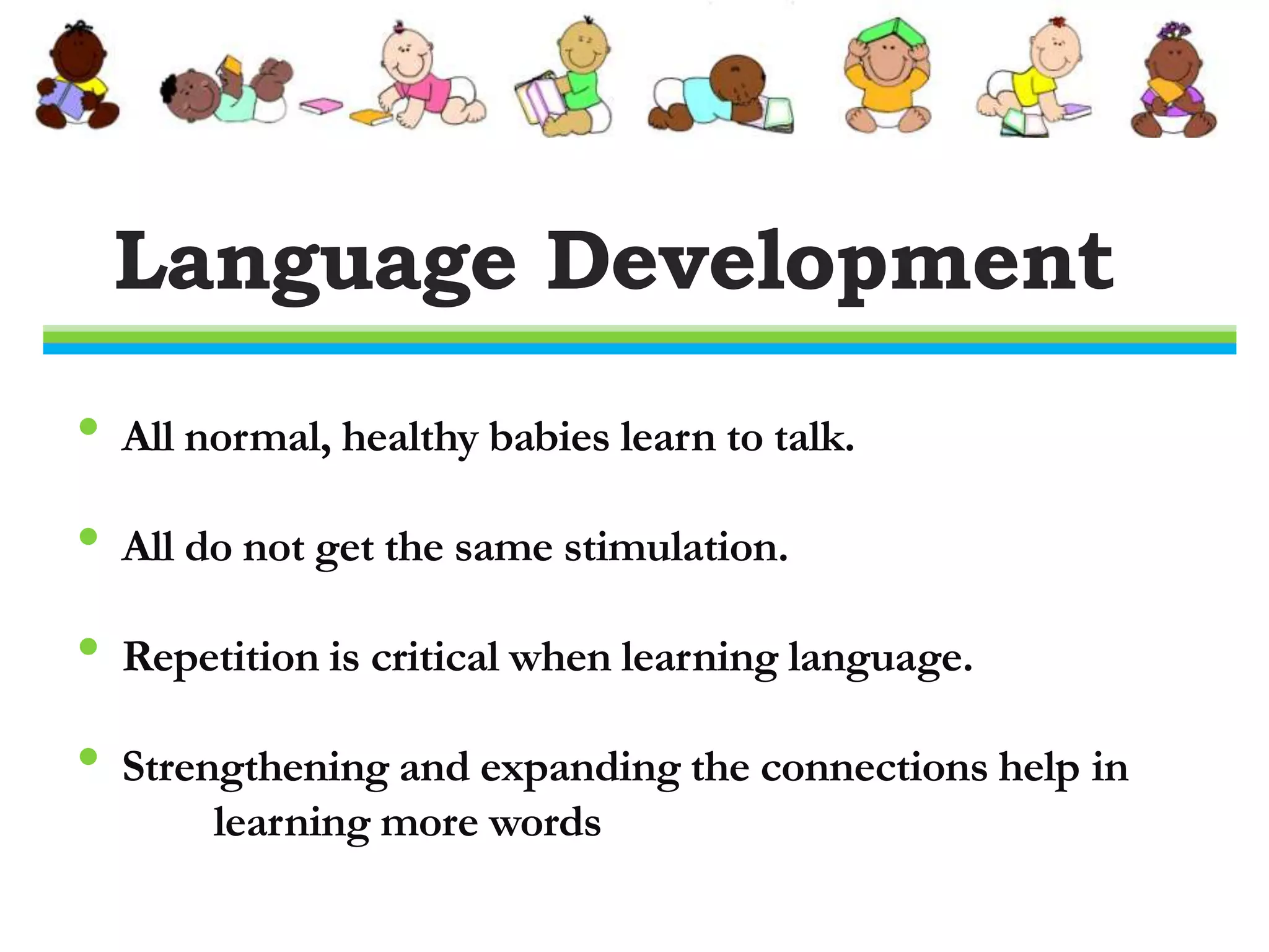 Baby’s Growing BrainA Brain CellCell bodyDendritesAxon