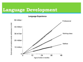   Stimulation and experience plays a crucial role in “wiring” a      young child’s brain.  If the connections are not used repeatedly, or often enough,      they are eliminated.