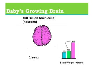    THE solution to educational disparityOverview of the Brain  Part of the central nervous system