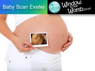 Baby Scan Exeter
https://windowtothewomb.co.uk
Baby Scan Exeter
 