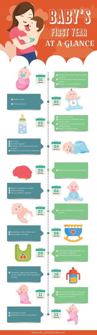 Baby's first year at a glance