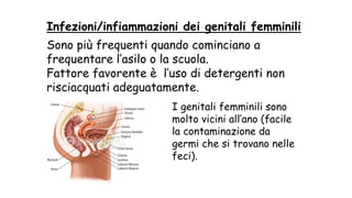 Infezioni/infiammazioni dei genitali femminili
Sono più frequenti quando cominciano a
frequentare l’asilo o la scuola.
Fattore favorente è l’uso di detergenti non
risciacquati adeguatamente.
I genitali femminili sono
molto vicini all’ano (facile
la contaminazione da
germi che si trovano nelle
feci).
 