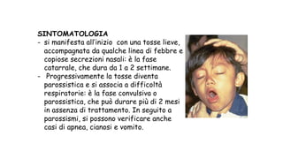 SINTOMATOLOGIA
- si manifesta all’inizio con una tosse lieve,
accompagnata da qualche linea di febbre e
copiose secrezioni nasali: è la fase
catarrale, che dura da 1 a 2 settimane.
- Progressivamente la tosse diventa
parossistica e si associa a difficoltà
respiratorie: è la fase convulsiva o
parossistica, che può durare più di 2 mesi
in assenza di trattamento. In seguito a
parossismi, si possono verificare anche
casi di apnea, cianosi e vomito.
 