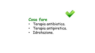 Cosa fare
• Terapia antibiotica.
• Terapia antipiretica.
• Idratazione.
 