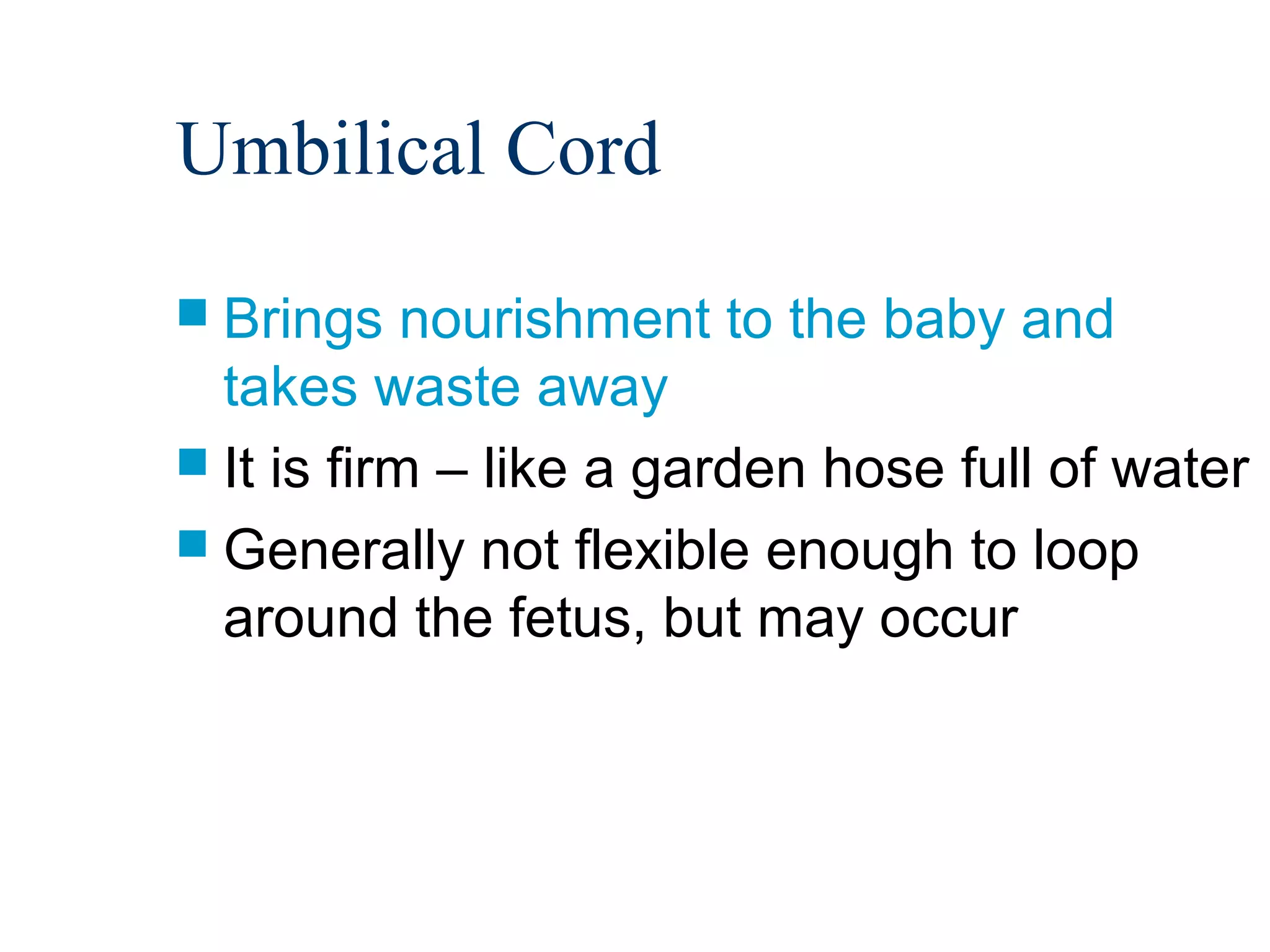 Umbilical Cord
 Brings    nourishment to the baby and
  takes waste away
 It is firm – like a garden hose full of water
 Generally not flexible enough to loop
  around the fetus, but may occur
 
