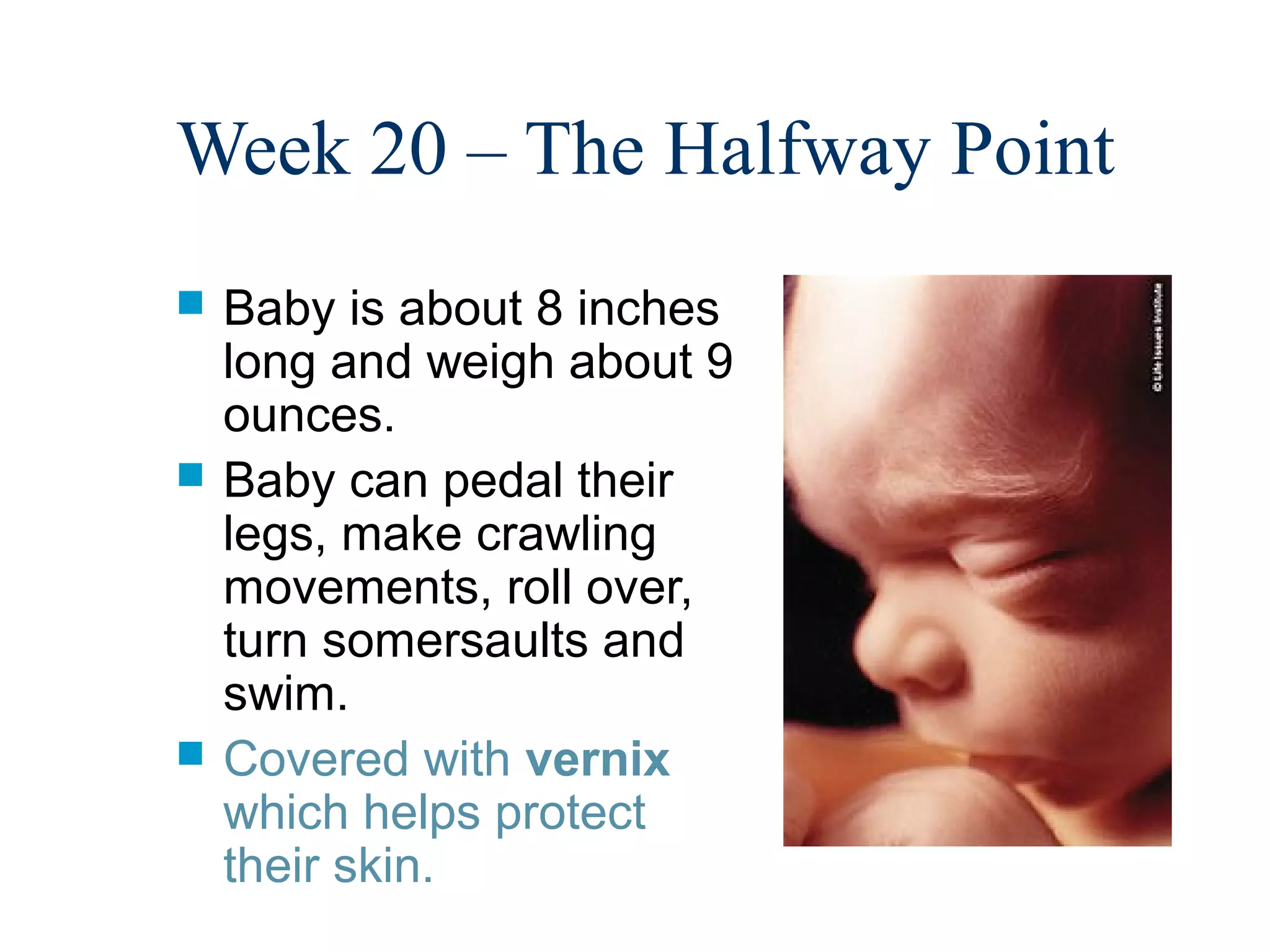 Week 20 – The Halfway Point
   Baby is about 8 inches
    long and weigh about 9
    ounces.
   Baby can pedal their
    legs, make crawling
    movements, roll over,
    turn somersaults and
    swim.
   Covered with vernix
    which helps protect
    their skin.
 
