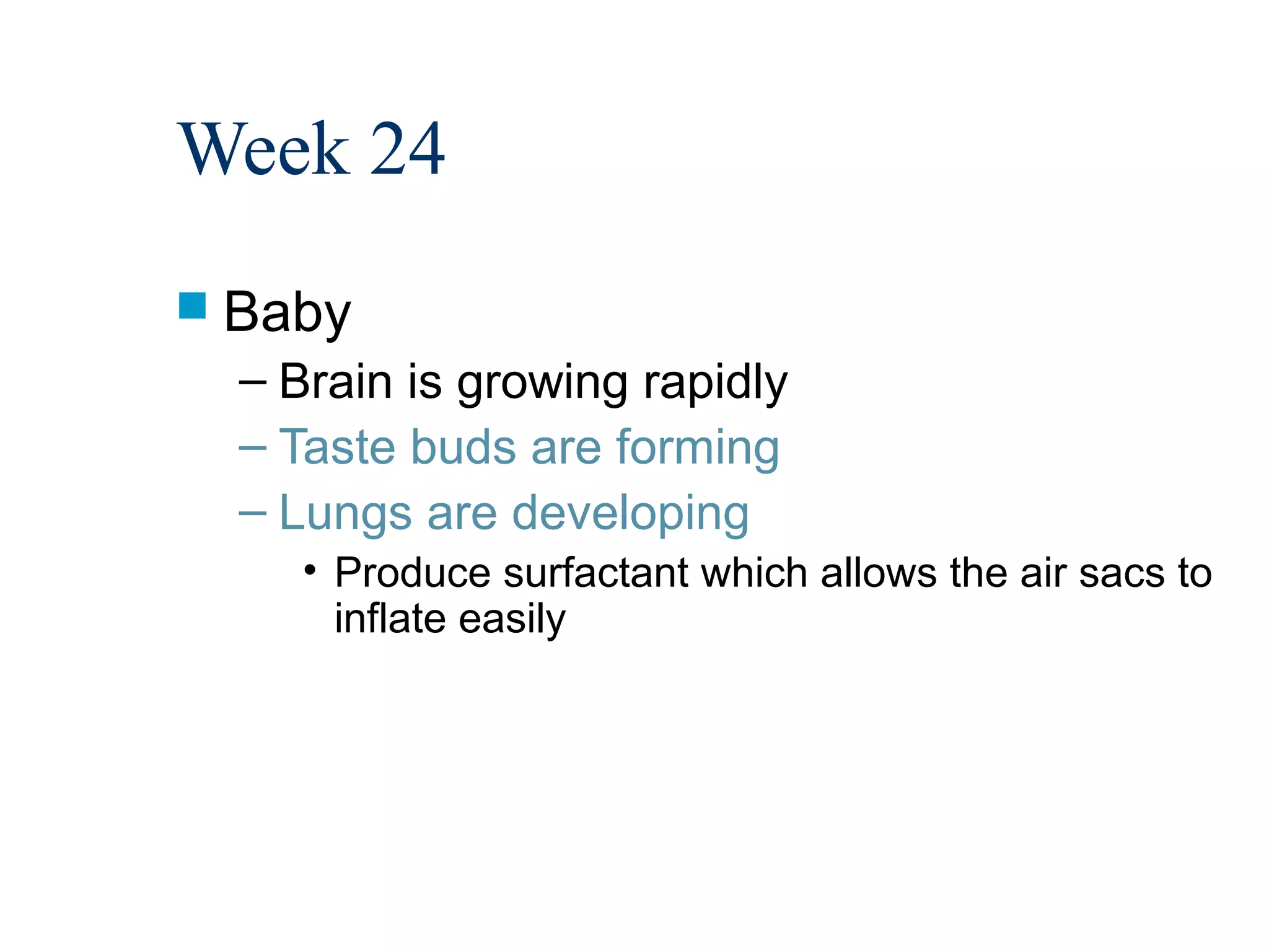 Week 24
 Baby
  – Brain is growing rapidly
  – Taste buds are forming
  – Lungs are developing
     • Produce surfactant which allows the air sacs to
       inflate easily
 