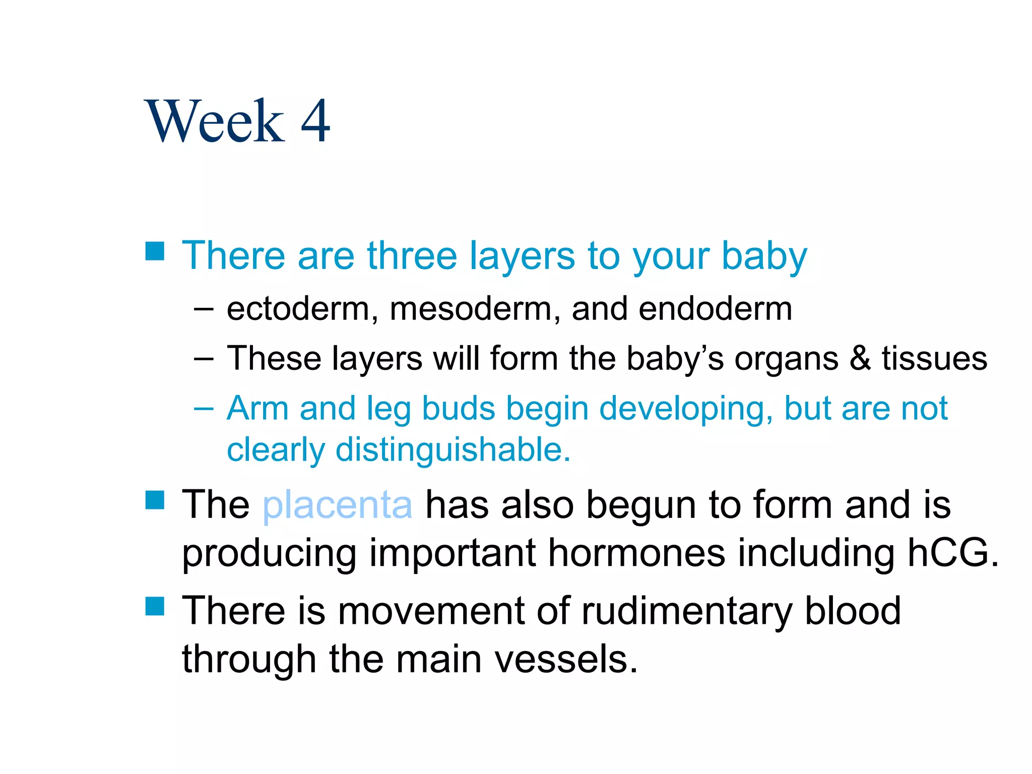 Week 4
   There are three layers to your baby
    – ectoderm, mesoderm, and endoderm
    – These layers will form the baby’s organs & tissues
    – Arm and leg buds begin developing, but are not
      clearly distinguishable.
   The placenta has also begun to form and is
    producing important hormones including hCG.
   There is movement of rudimentary blood
    through the main vessels.
 
