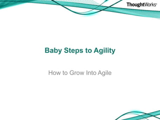 Baby Steps to Agility How to Grow Into Agile  