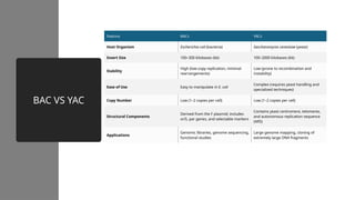BAC VS YAC
Feature BACs YACs
Host Organism Escherichia coli (bacteria) Saccharomyces cerevisiae (yeast)
Insert Size 100–300 kilobases (kb) 100–2000 kilobases (kb)
Stability
High (low-copy replication, minimal
rearrangements)
Low (prone to recombination and
instability)
Ease of Use Easy to manipulate in E. coli
Complex (requires yeast handling and
specialized techniques)
Copy Number Low (1–2 copies per cell) Low (1–2 copies per cell)
Structural Components
Derived from the F plasmid; includes
oriS, par genes, and selectable markers
Contains yeast centromere, telomeres,
and autonomous replication sequence
(ARS)
Applications
Genomic libraries, genome sequencing,
functional studies
Large genome mapping, cloning of
extremely large DNA fragments
 