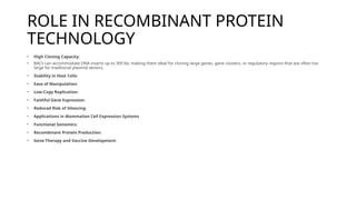 ROLE IN RECOMBINANT PROTEIN
TECHNOLOGY
• High Cloning Capacity:
• BACs can accommodate DNA inserts up to 300 kb, making them ideal for cloning large genes, gene clusters, or regulatory regions that are often too
large for traditional plasmid vectors.
• Stability in Host Cells:
• Ease of Manipulation:
• Low-Copy Replication:
• Faithful Gene Expression:
• Reduced Risk of Silencing:
• Applications in Mammalian Cell Expression Systems
• Functional Genomics:
• Recombinant Protein Production:
• Gene Therapy and Vaccine Development:
 