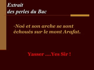 Extrait
des perles du Bac
-Noé et son arche se sont
échoués sur le mont Arafat.

Yasser ….Yes Sir !

 
