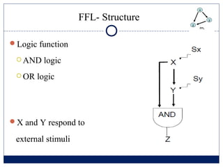 FFL- Structure

Logic function

  AND   logic
  OR   logic




X and Y respond to

 external stimuli
 