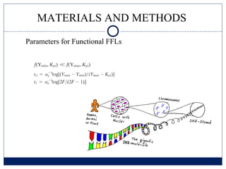 MATERIALS AND METHODS
Parameters for Functional FFLs
 
