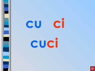 cu ci
cuci
 