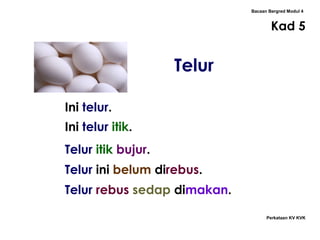 Bacaan Bergred Modul 4
Kad 5
Perkataan KV KVK
Telur
Ini telur.
Ini telur itik.
Telur itik bujur.
Telur ini belum direbus.
Telur rebus sedap dimakan.
 