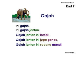 Bacaan Bergred Modul 4
Kad 7
Perkataan KV KVK
Gajah
Ini gajah.
Ini gajah jantan.
Gajah jantan ini besar.
Gajah jantan ini juga ganas.
Gajah jantan ini sedang mandi.
 