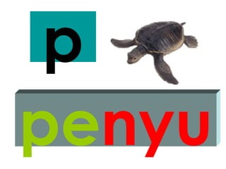 p
penyu
 