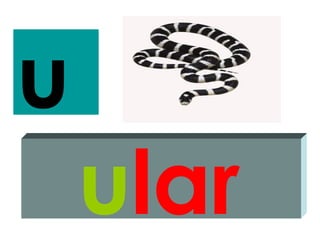 u
    ular
 