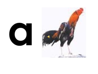 a
 