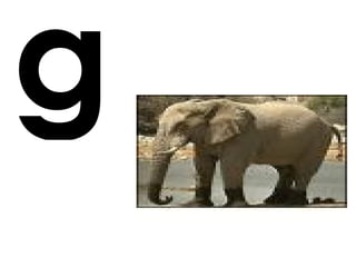g
 