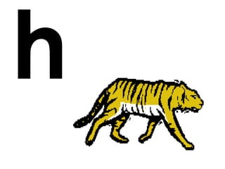 h
 