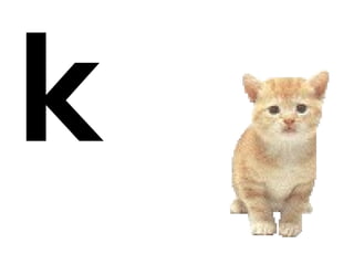 k
 