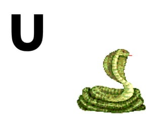 u
 