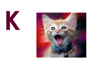 K
 