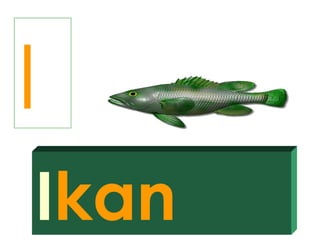 I
Ikan
 
