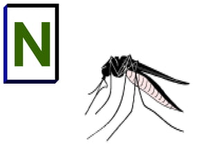 N
 