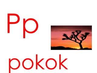 Pp
pokok
 