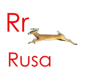 Rr
Rusa
 
