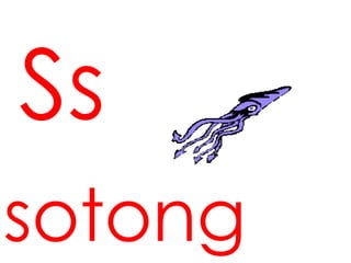 Ss
sotong
 