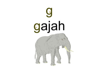 g
gajah
 