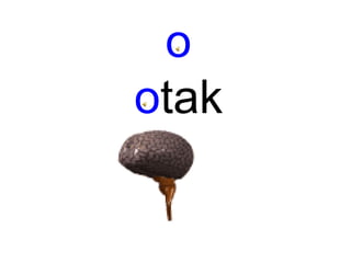 o
otak
 