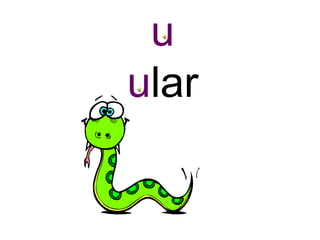 u
ular
 