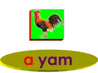 a yam
 