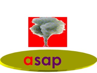 a sap
 