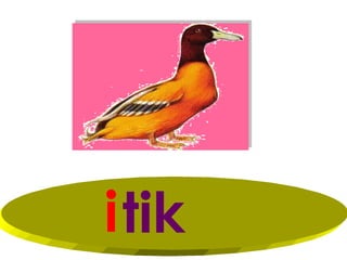 i tik
 