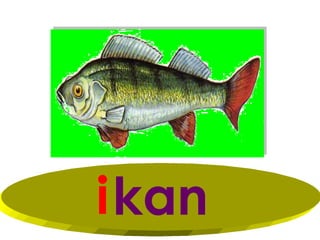 i kan
 