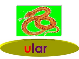 ular
 