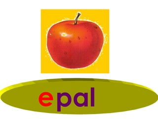 e pal
 