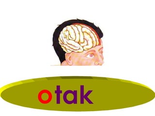 o tak
 