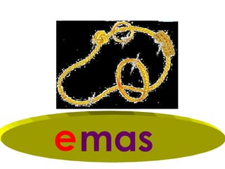 e mas
 