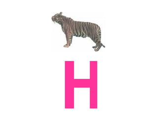 H
 
