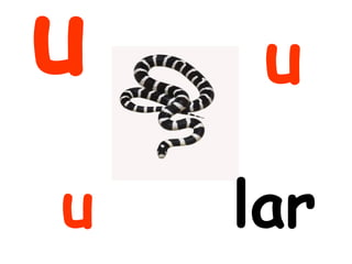 u    u
u   lar
 